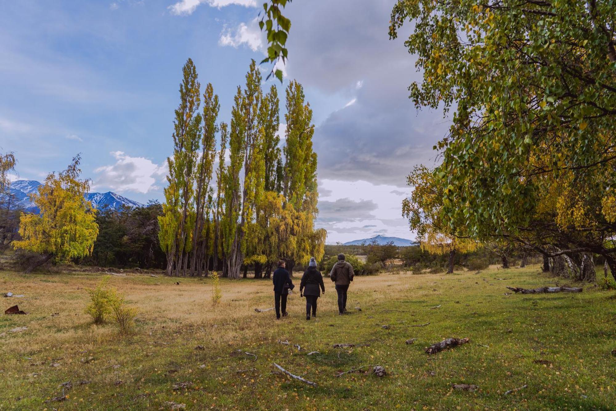 Estancia Patagonia El Calafate - Pristine Luxury Camps ภายนอก รูปภาพ