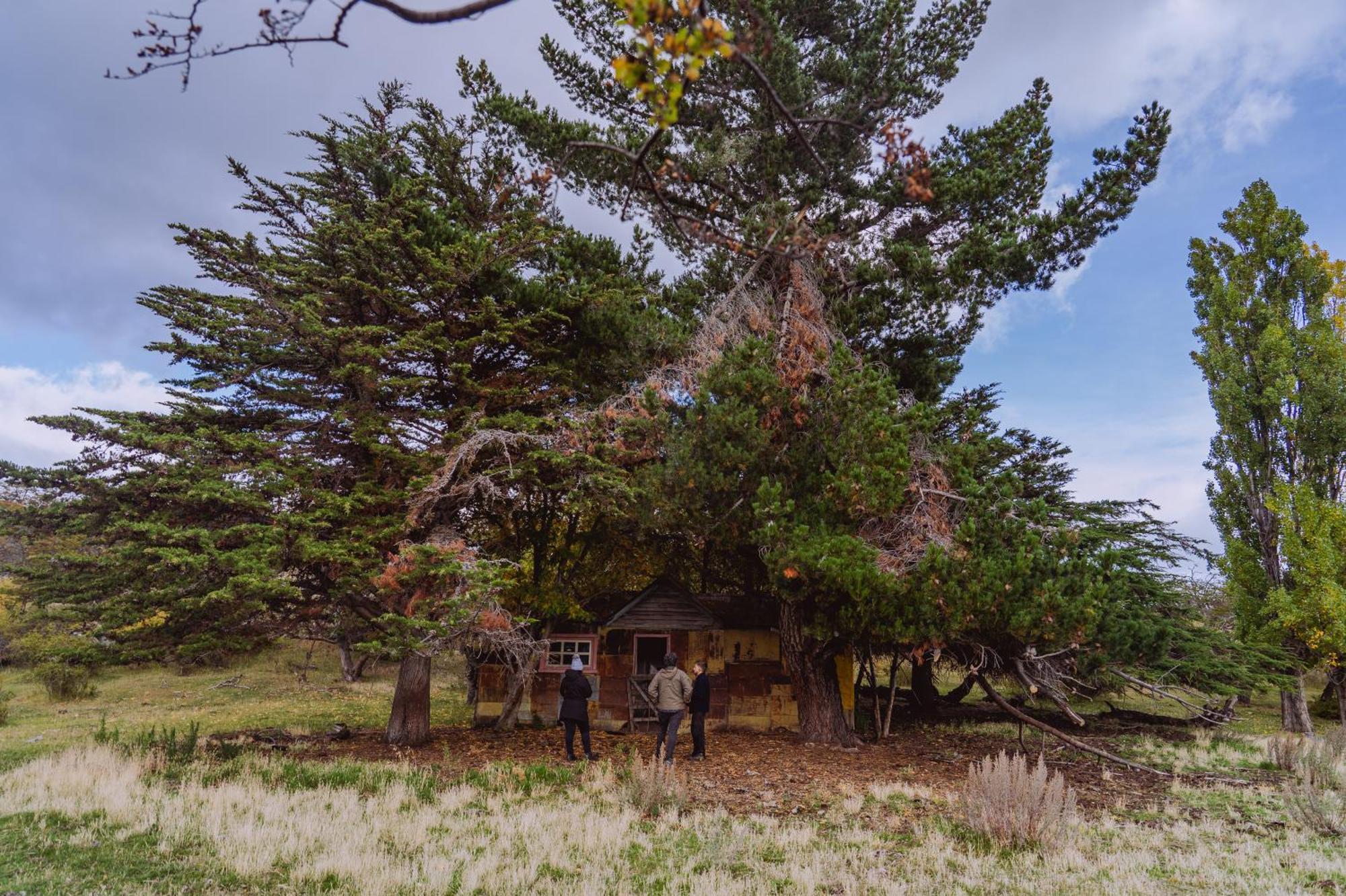 Estancia Patagonia El Calafate - Pristine Luxury Camps ภายนอก รูปภาพ